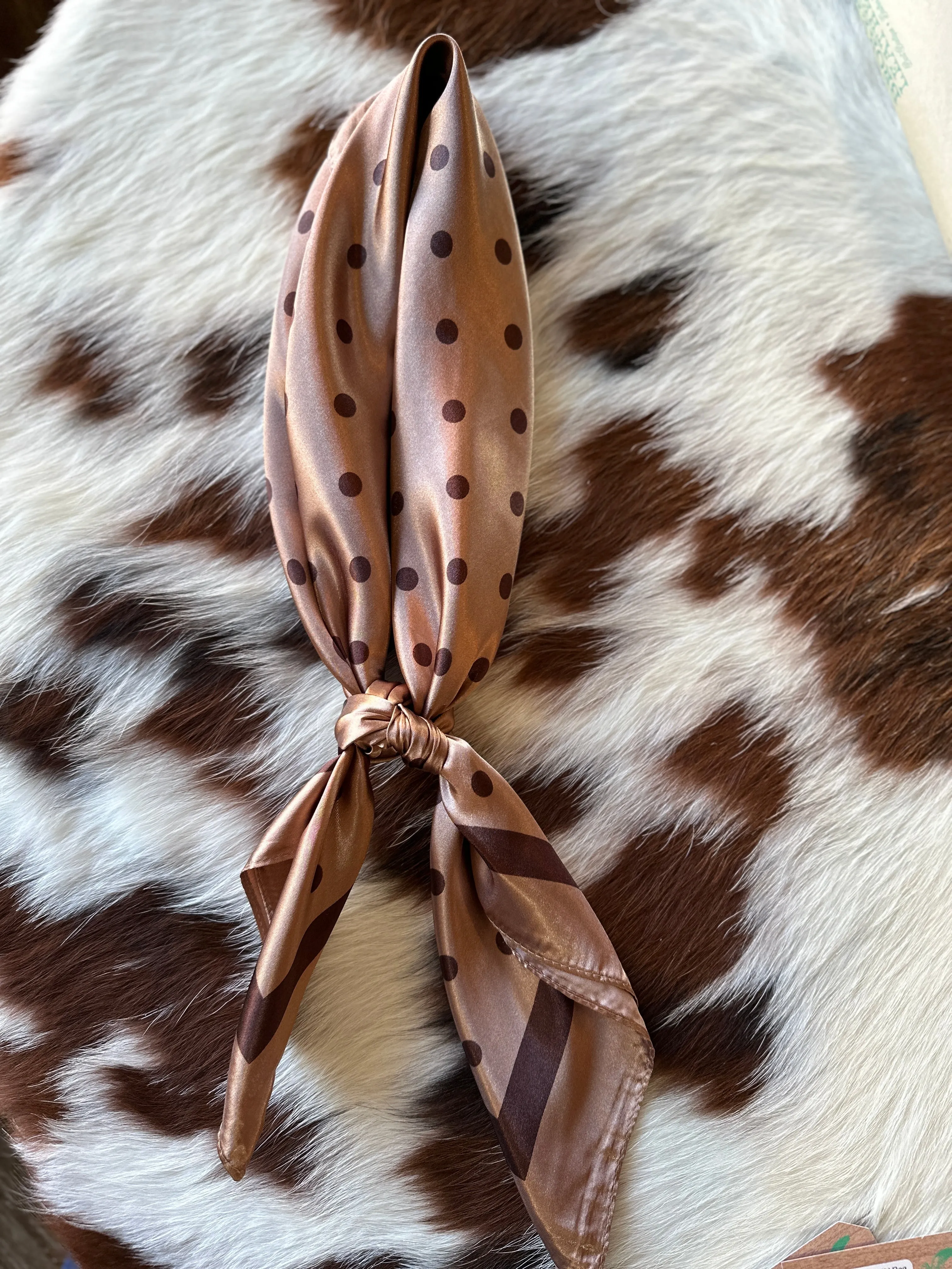 Bayzlee Brown Polka Dot Wild Rag