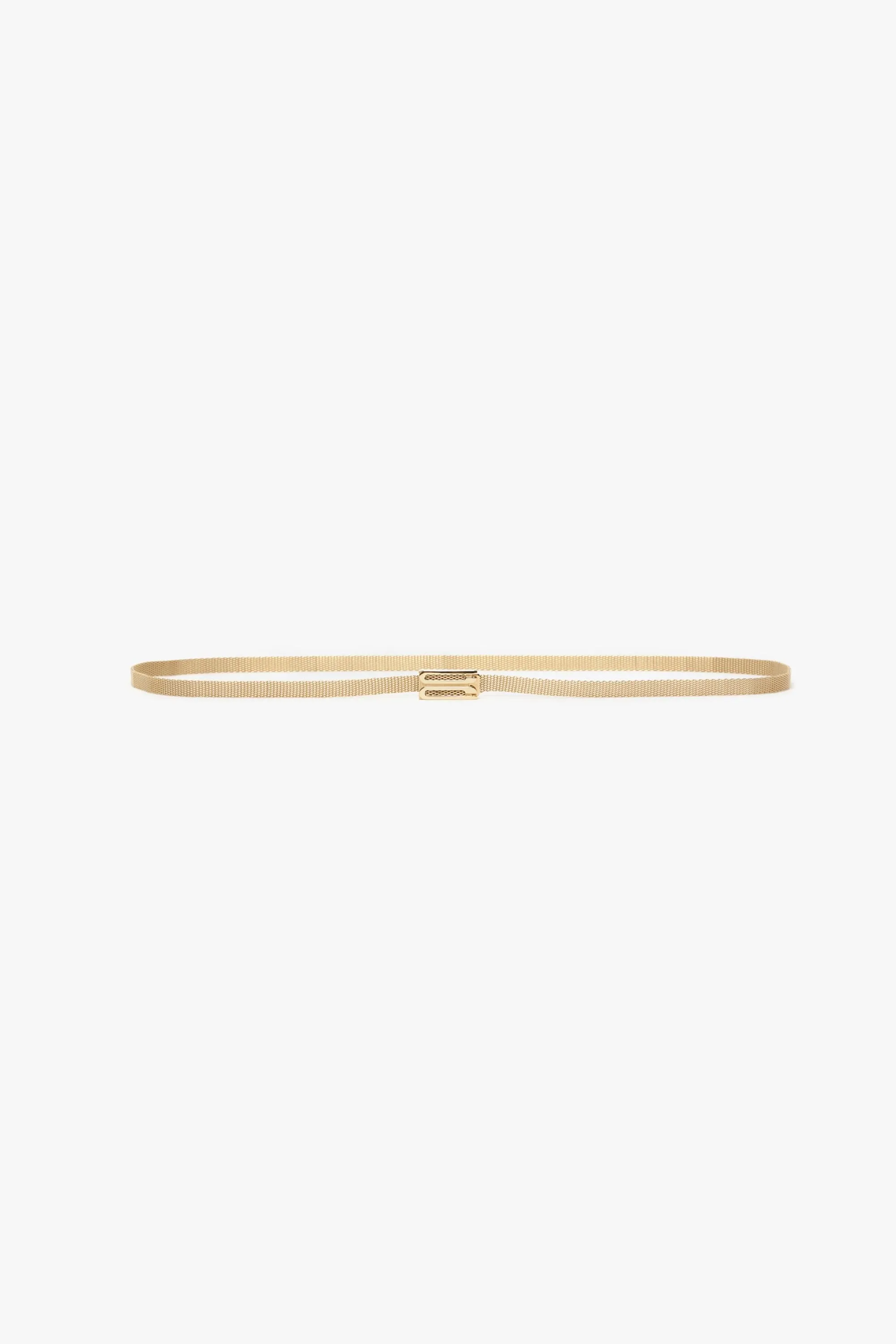 Brass Micro Frame Belt In Light Gold